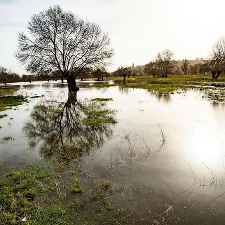 Op Eiland In De Loire Ferienhaus *