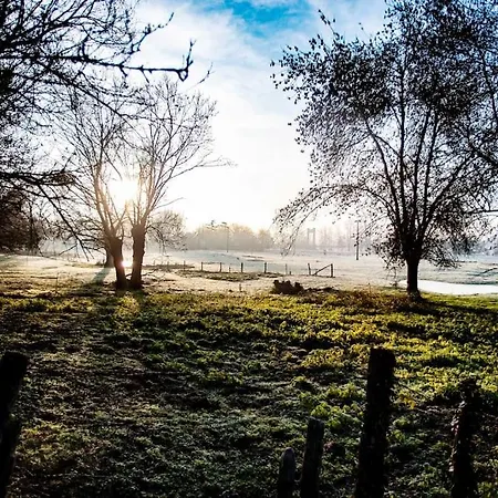 Op Eiland In De Loire 度假居