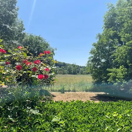 Op Eiland In De Loire Ferienhaus