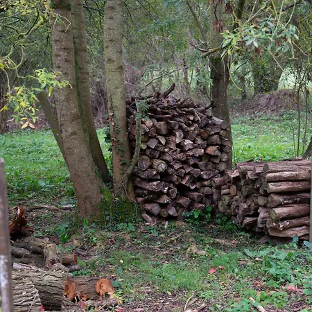 Op Eiland In De Loire * Gennes-Val-de-Loire