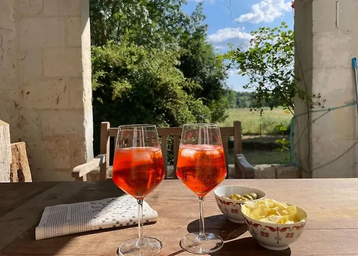 Vakantiehuis Op Eiland In De Loire