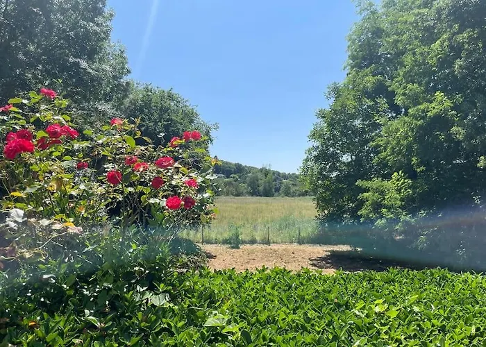 Op Eiland In De Loire Vakantiehuis