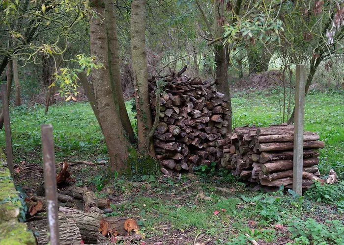 Op Eiland In De Loire * Gennes-Val-de-Loire