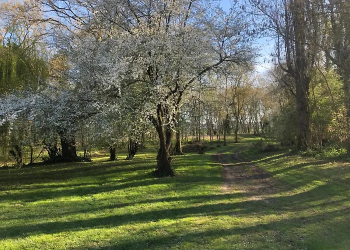 Op Eiland In De Loire *
